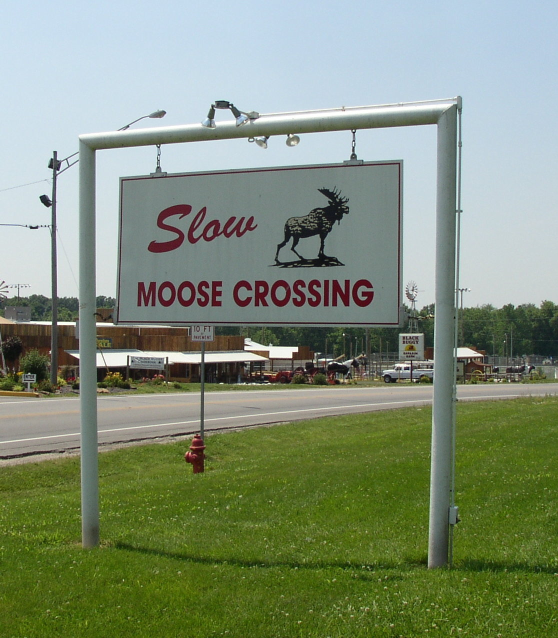 moosecrossing.jpg